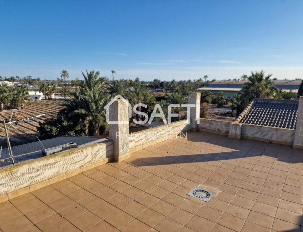 Rustic land For sell in Elche in Alicante 