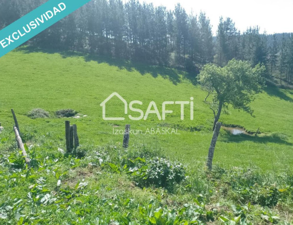 Se vende caserío con terreno agrícola y pinar en Baranbio