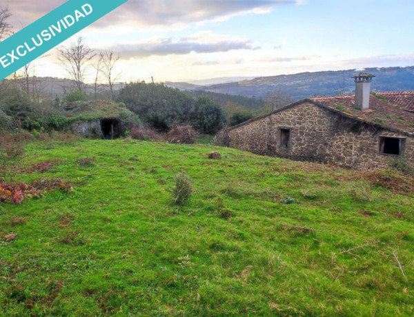 Precio negocialble! Un paseo a orillas del Río Ulla. Un Arboleda de 7000 metros2 con preciosa casa de piedra para restaurar.