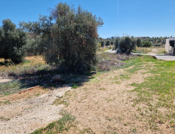 TERRENO URBANO EN ARGÉS