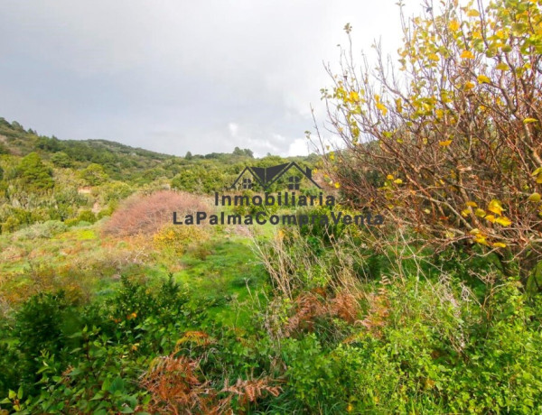 Casa-Chalet en Venta en Llano Negro Santa Cruz de Tenerife 