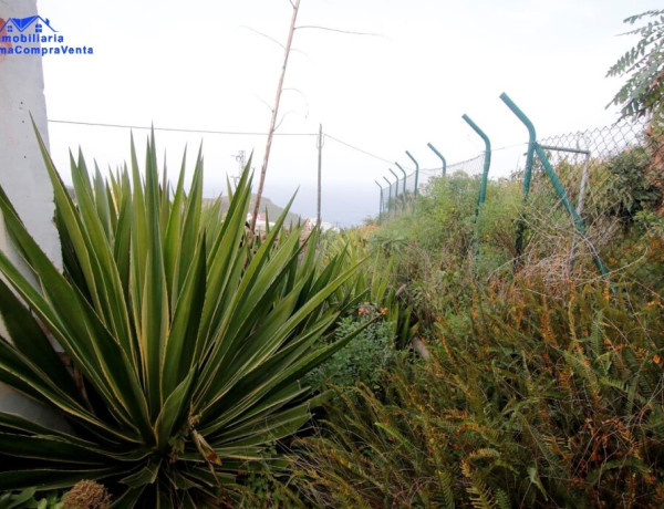 Rustic land For sell in San Andres Y Sauces in Santa Cruz de Tenerife 