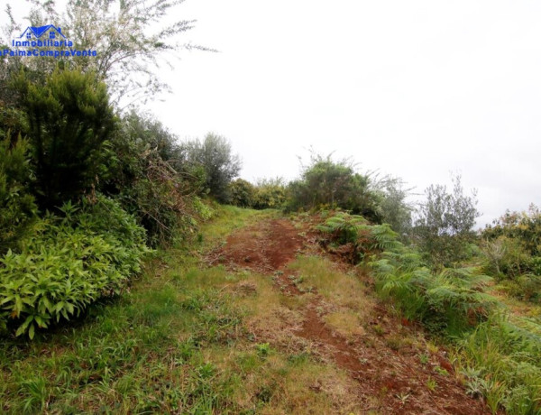 Rustic land For sell in Barlovento in Santa Cruz de Tenerife 