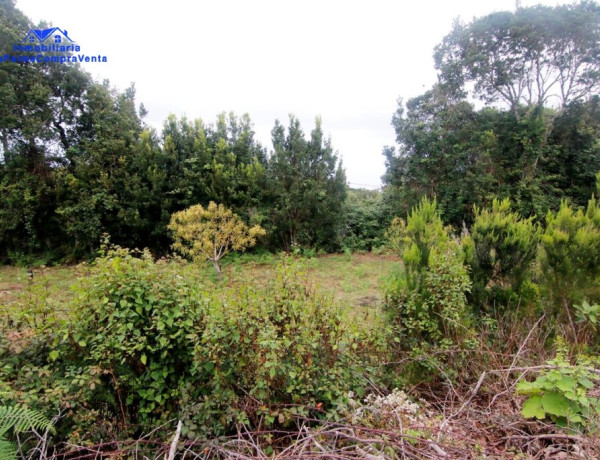 Rustic land For sell in Barlovento in Santa Cruz de Tenerife 