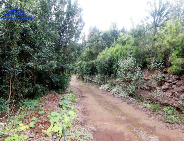 Rustic land For sell in Barlovento in Santa Cruz de Tenerife 