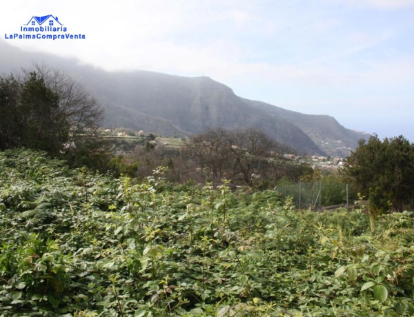 Suelo rústico en Venta en Realejo Alto Santa Cruz de Tenerife 