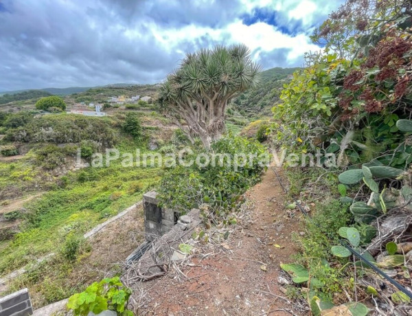 Casa-Chalet en Venta en Barlovento Santa Cruz de Tenerife 