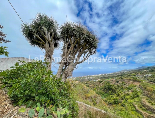 Casa-Chalet en Venta en Barlovento Santa Cruz de Tenerife 