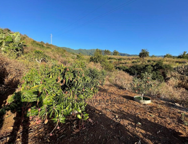 Casa-Chalet en Venta en Breña Alta Santa Cruz de Tenerife 