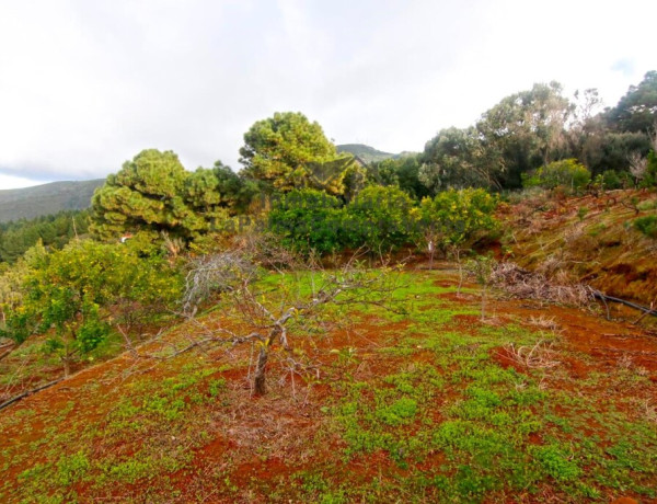 Casa de campo-Masía en Venta en Llano Negro Santa Cruz de Tenerife 