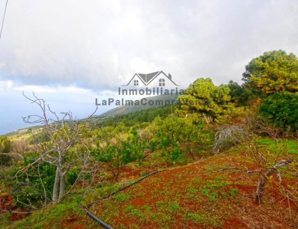 Casa de campo-Masía en Venta en Llano Negro Santa Cruz de Tenerife 