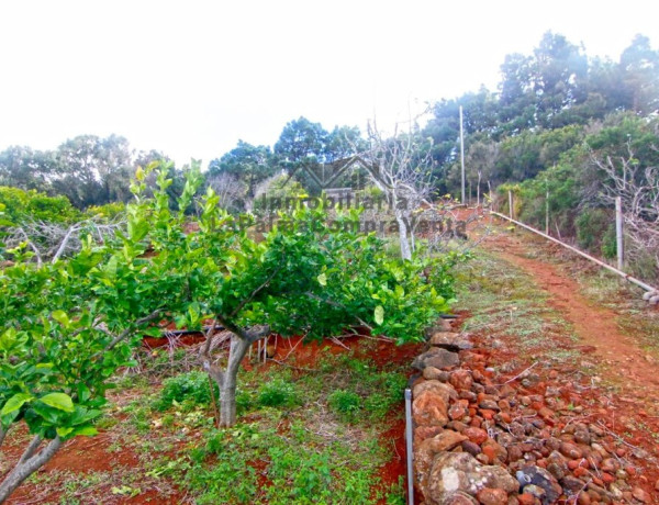 Casa de campo-Masía en Venta en Llano Negro Santa Cruz de Tenerife 