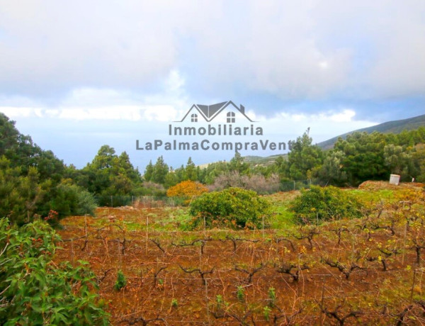 Casa de campo-Masía en Venta en Llano Negro Santa Cruz de Tenerife 