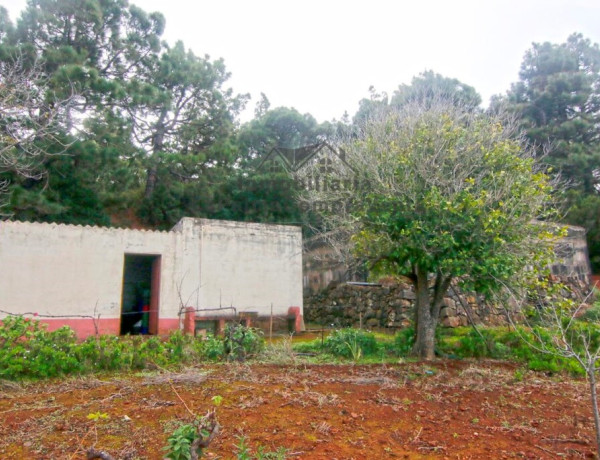 Casa de campo-Masía en Venta en Llano Negro Santa Cruz de Tenerife 