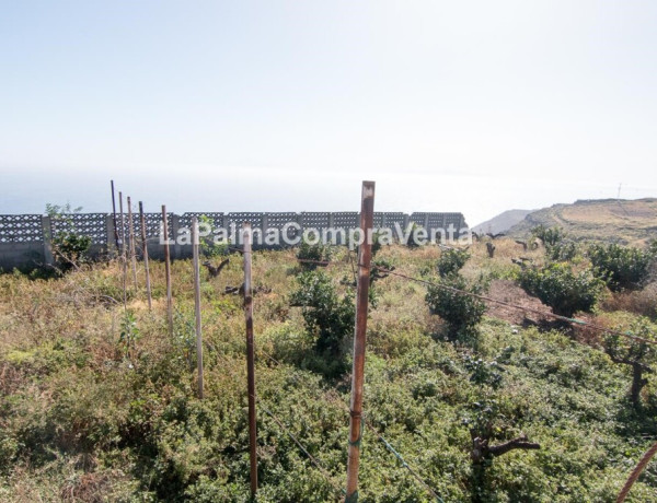 Suelo rústico en Venta en Lodero Santa Cruz de Tenerife 