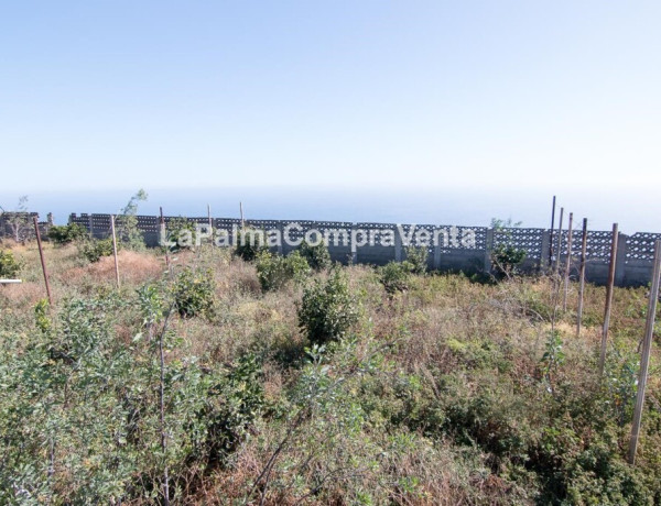 Suelo rústico en Venta en Lodero Santa Cruz de Tenerife 