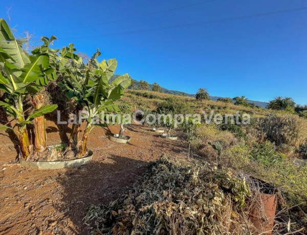 Casa-Chalet en Venta en Breña Alta Santa Cruz de Tenerife 