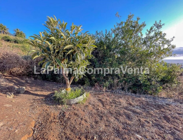 Casa-Chalet en Venta en Breña Alta Santa Cruz de Tenerife 