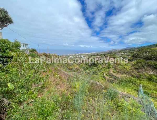 Casa-Chalet en Venta en Barlovento Santa Cruz de Tenerife 