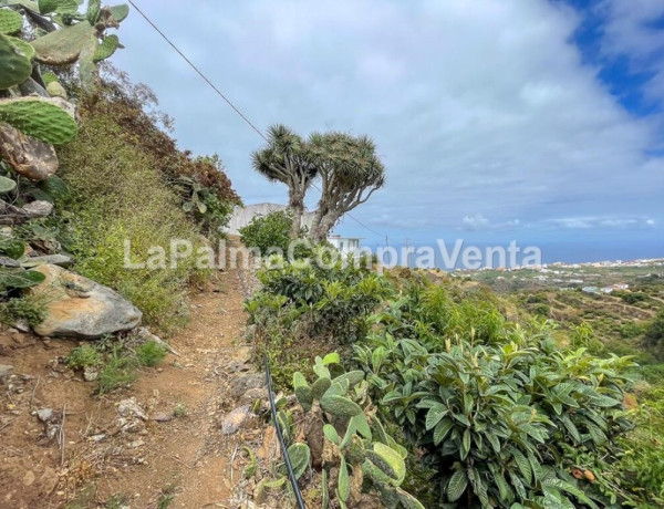 Casa-Chalet en Venta en Barlovento Santa Cruz de Tenerife 