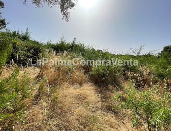 Rustic land For sell in Roque Faro in Santa Cruz de Tenerife 