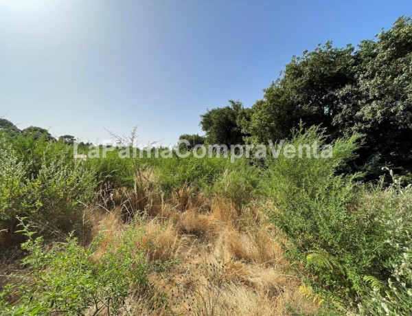 Rustic land For sell in Roque Faro in Santa Cruz de Tenerife 