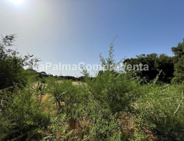 Rustic land For sell in Roque Faro in Santa Cruz de Tenerife 