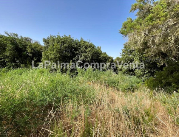 Rustic land For sell in Roque Faro in Santa Cruz de Tenerife 