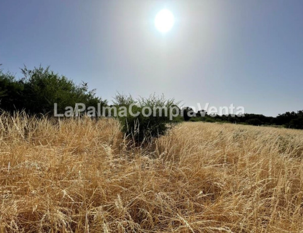 Rustic land For sell in Roque Faro in Santa Cruz de Tenerife 