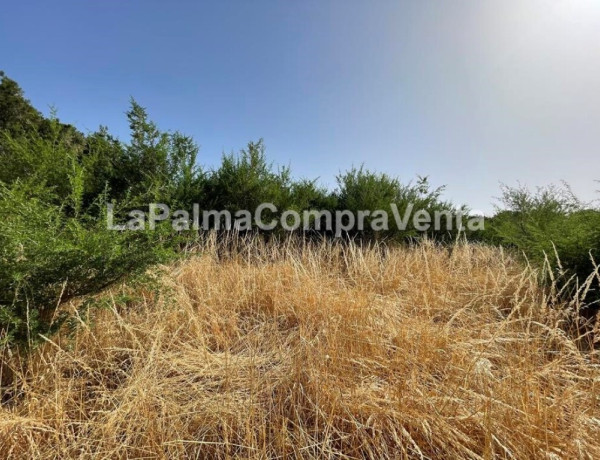 Rustic land For sell in Roque Faro in Santa Cruz de Tenerife 