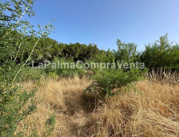 Rustic land For sell in Roque Faro in Santa Cruz de Tenerife 