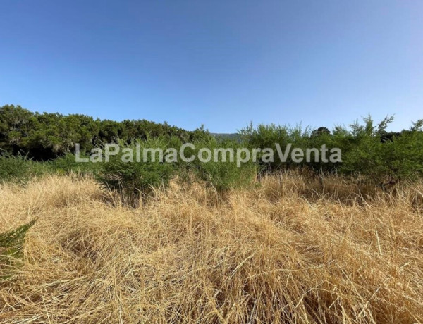 Suelo rústico en Venta en Roque Faro Santa Cruz de Tenerife 