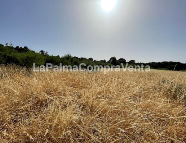 Rustic land For sell in Roque Faro in Santa Cruz de Tenerife 