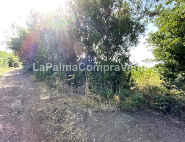 Suelo rústico en Venta en Roque Faro Santa Cruz de Tenerife 