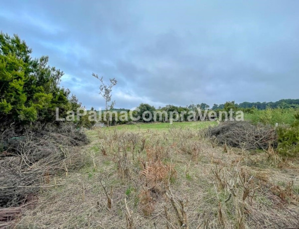 Suelo rústico en Venta en Roque Faro Santa Cruz de Tenerife 