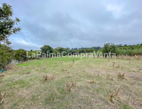 Rustic land For sell in Roque Faro in Santa Cruz de Tenerife 