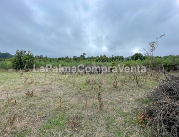 Rustic land For sell in Roque Faro in Santa Cruz de Tenerife 