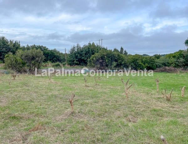 Rustic land For sell in Roque Faro in Santa Cruz de Tenerife 