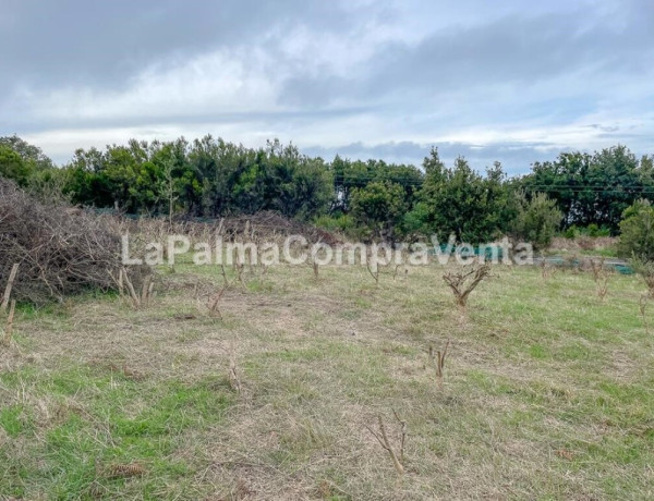 Rustic land For sell in Roque Faro in Santa Cruz de Tenerife 