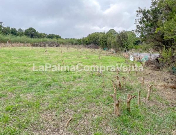 Rustic land For sell in Roque Faro in Santa Cruz de Tenerife 