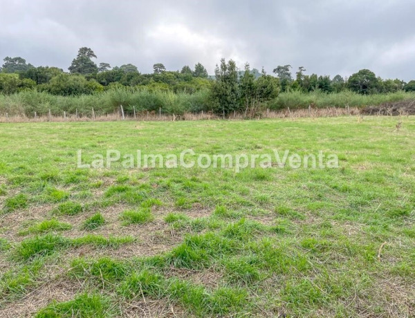 Rustic land For sell in Roque Faro in Santa Cruz de Tenerife 