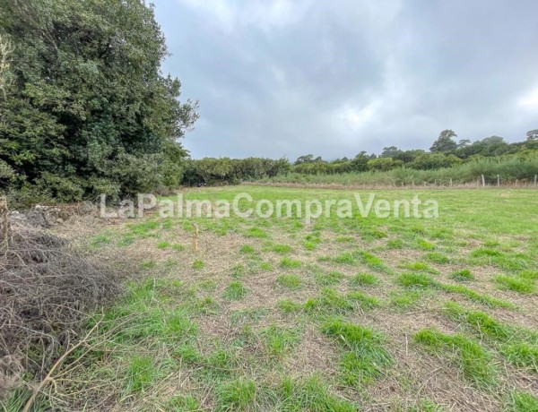 Rustic land For sell in Roque Faro in Santa Cruz de Tenerife 