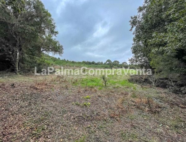 Rustic land For sell in Roque Faro in Santa Cruz de Tenerife 