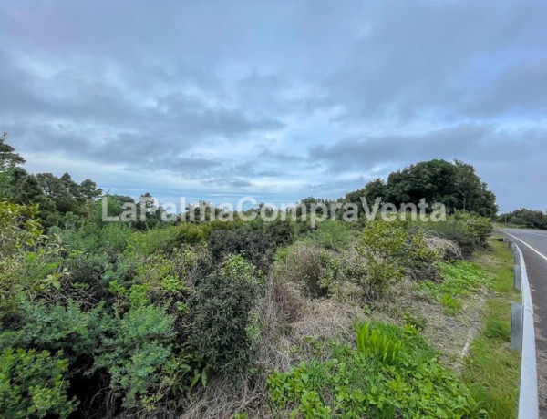 Suelo rústico en Venta en Roque Faro Santa Cruz de Tenerife 