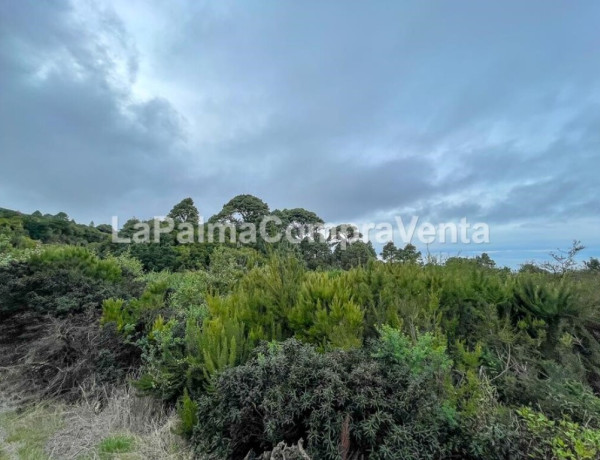 Suelo rústico en Venta en Roque Faro Santa Cruz de Tenerife 