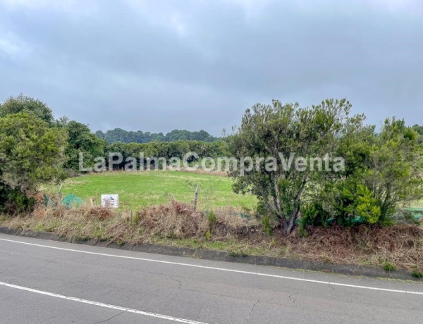 Rustic land For sell in Roque Faro in Santa Cruz de Tenerife 