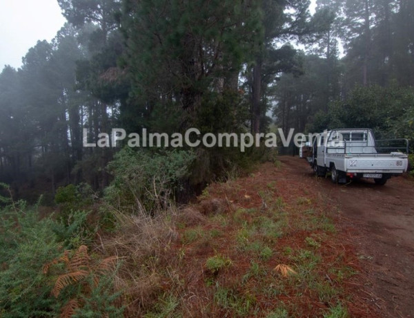 Rustic land For sell in Roque Faro in Santa Cruz de Tenerife 