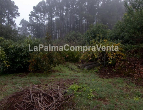 Rustic land For sell in Roque Faro in Santa Cruz de Tenerife 