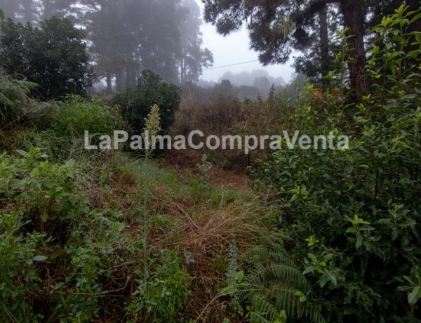 Rustic land For sell in Roque Faro in Santa Cruz de Tenerife 