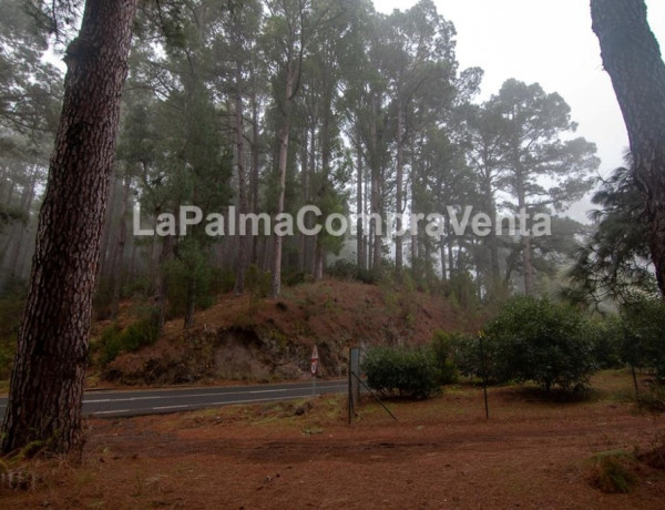 Rustic land For sell in Roque Faro in Santa Cruz de Tenerife 